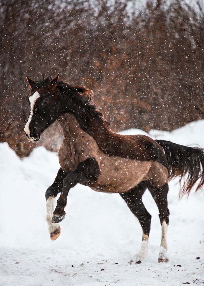 Photograph by Валерия Ткачева