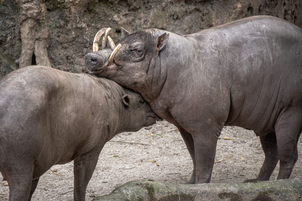 Photograph by Наталья Кокорина