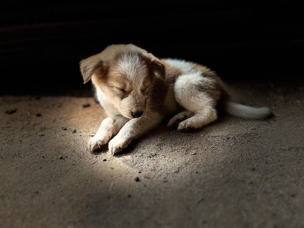 Photograph by Deepak