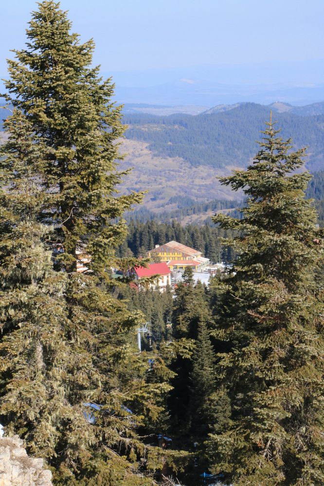 Photograph by Cengiz Yalcin