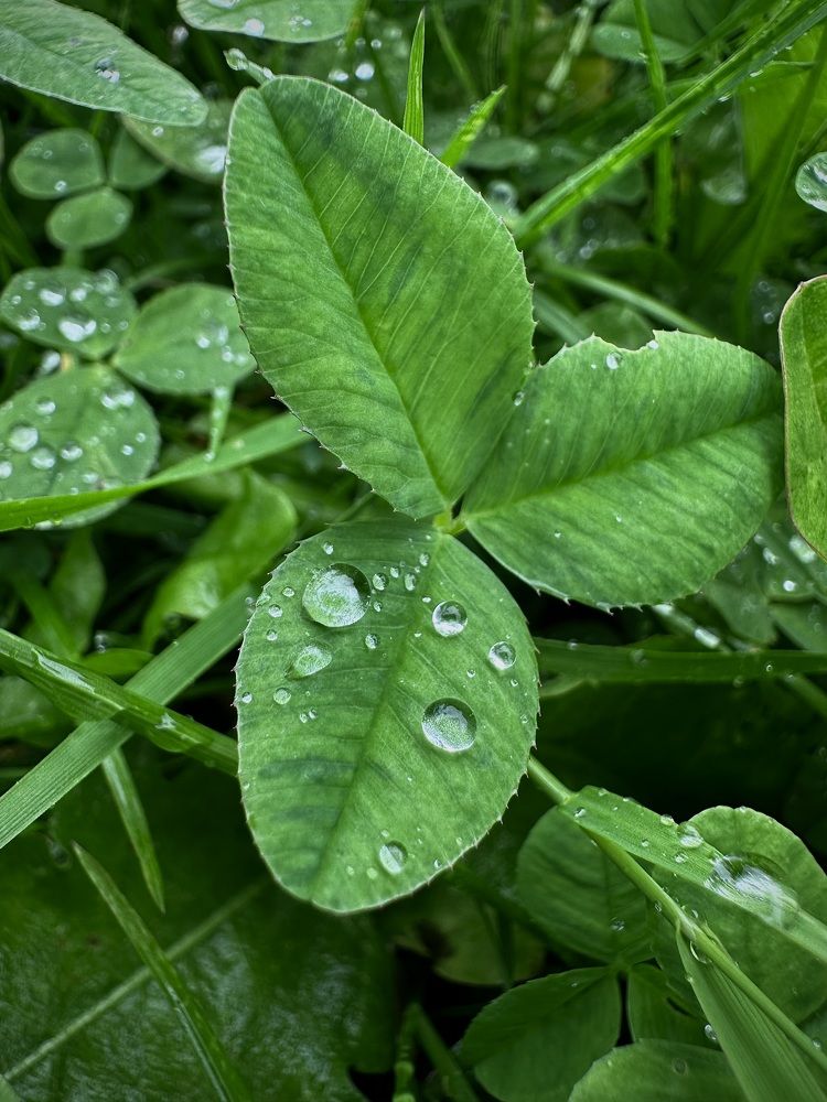 Фотография автора Юлия Косинова