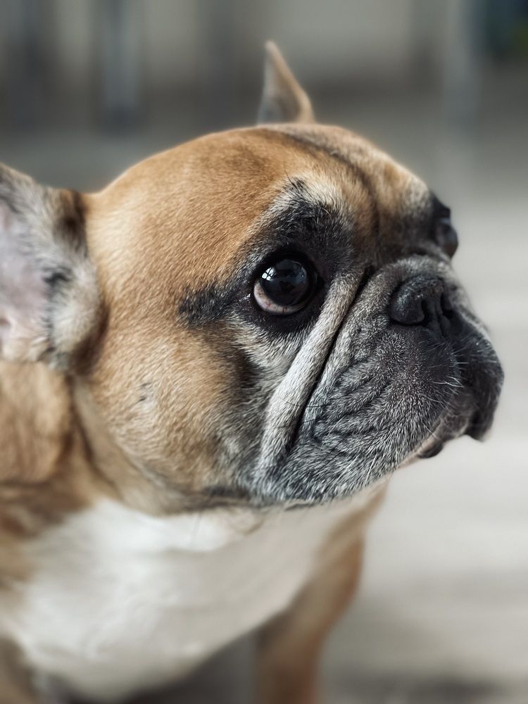 Фотография автора Юлия Косинова