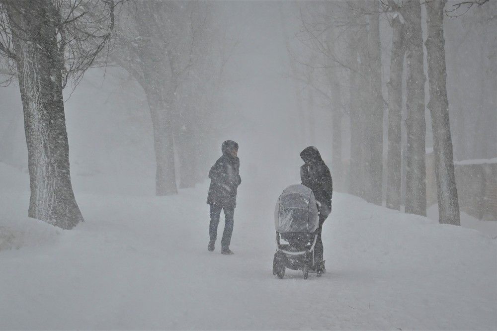 Фотография автора IRINA FILIPPOVA