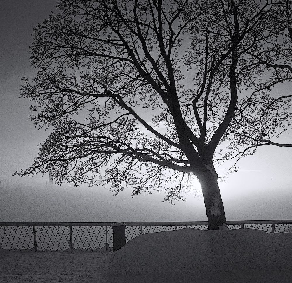 Photograph by Сергей Григорьев