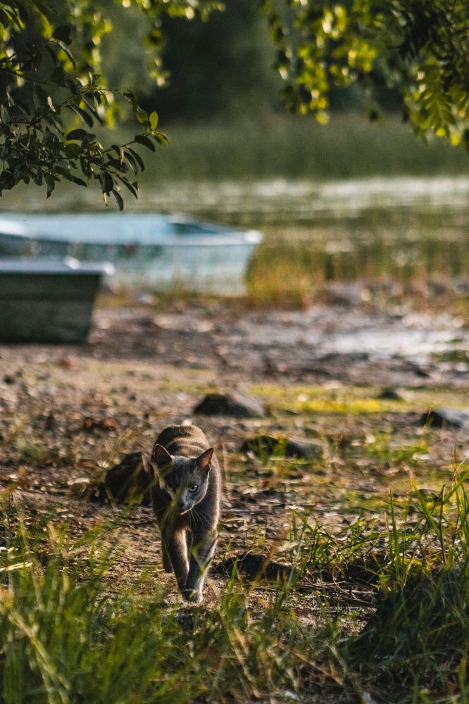 Photograph by Anton Gavrilov