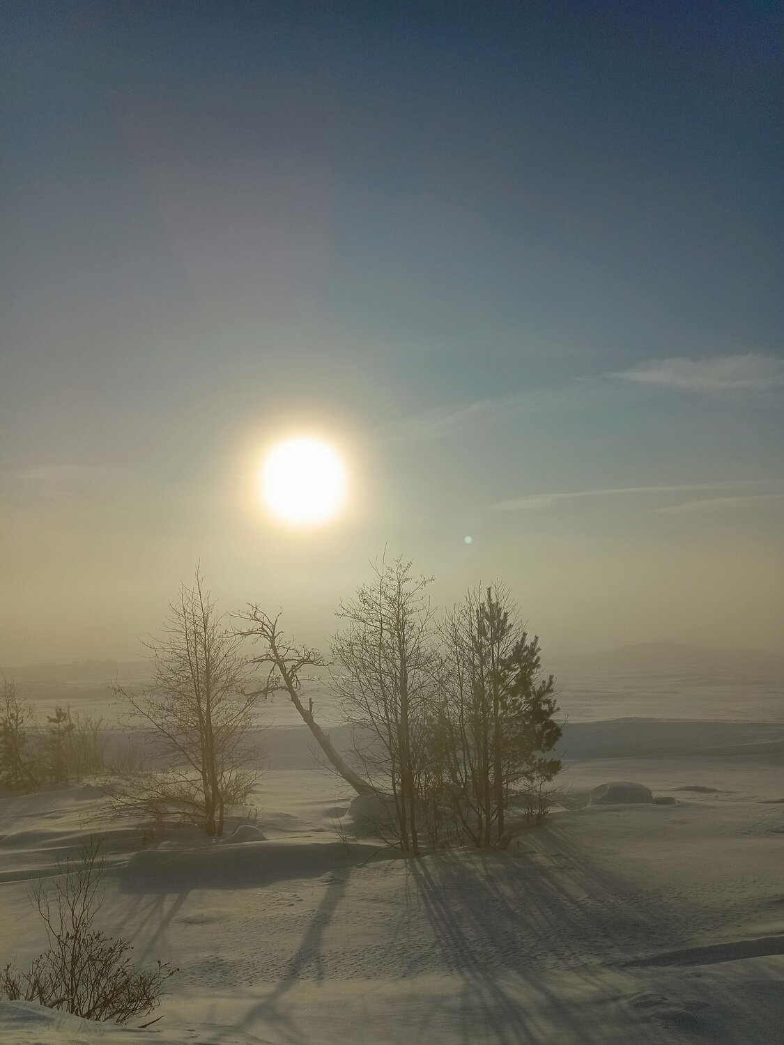 Photo #10456743