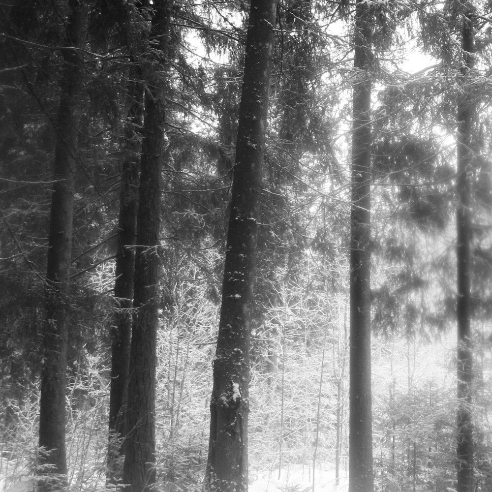 Photograph by Анна Мещерина