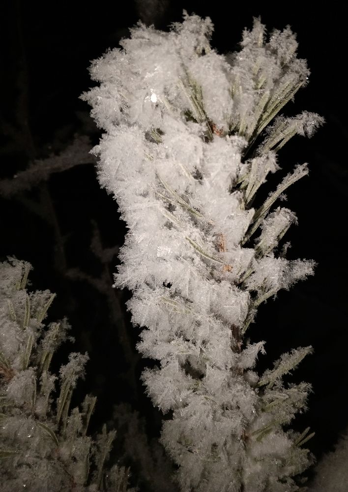 Photograph by Ирина Кортюкова