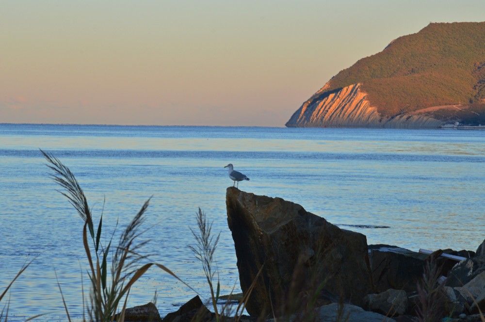 Photograph by Ольга Шевцова