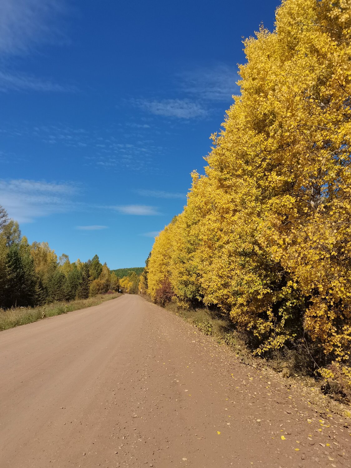 Photo #10456822