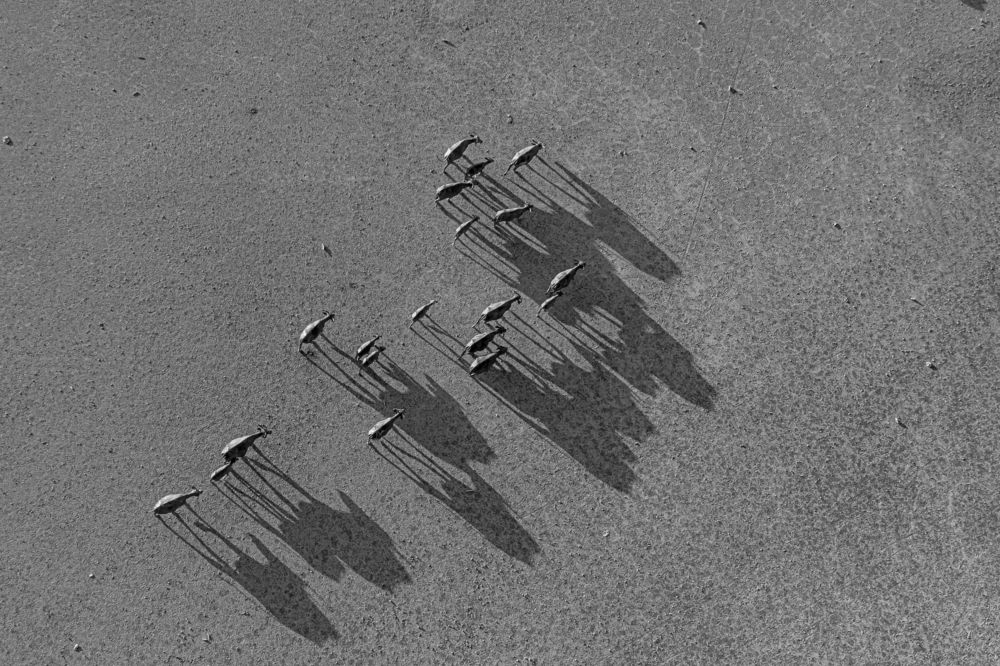 Photograph by Nguyen