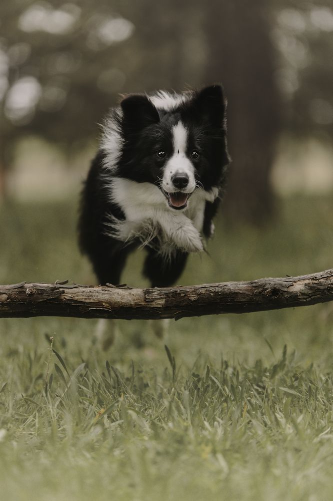 Фотография автора laura garcia