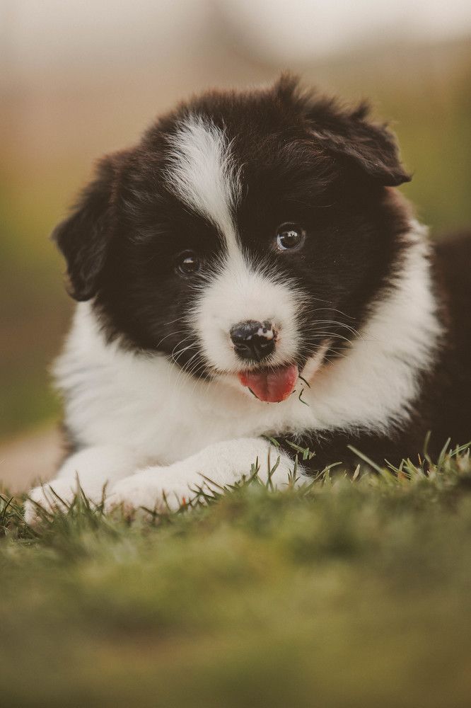 Фотография автора laura garcia