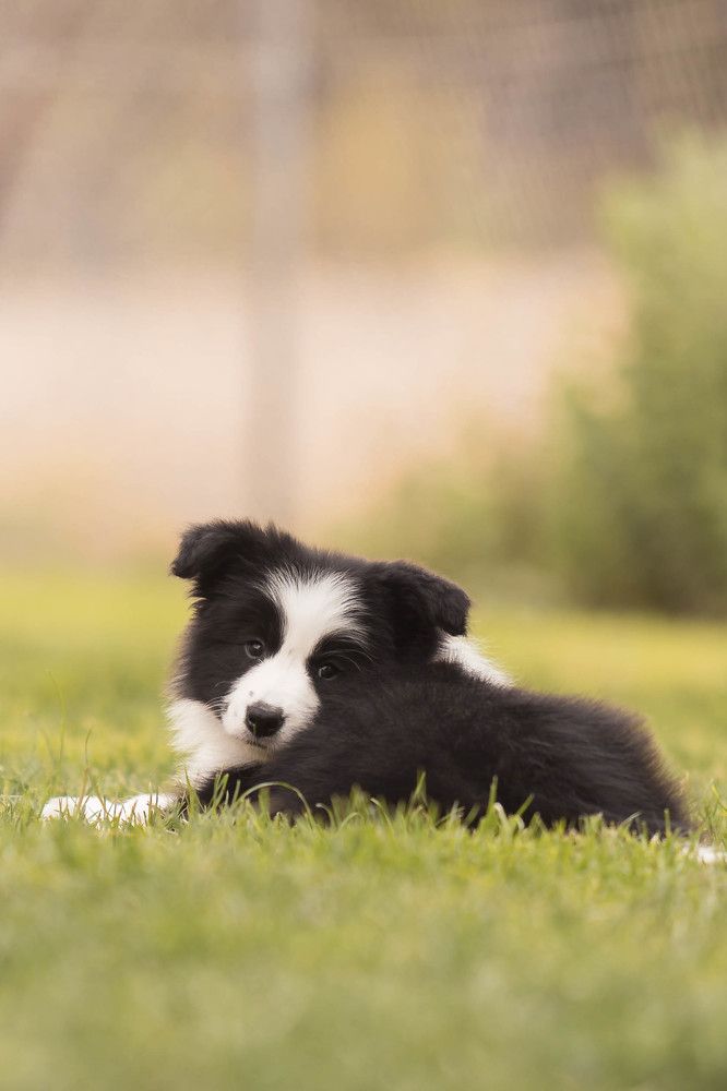 Фотография автора laura garcia