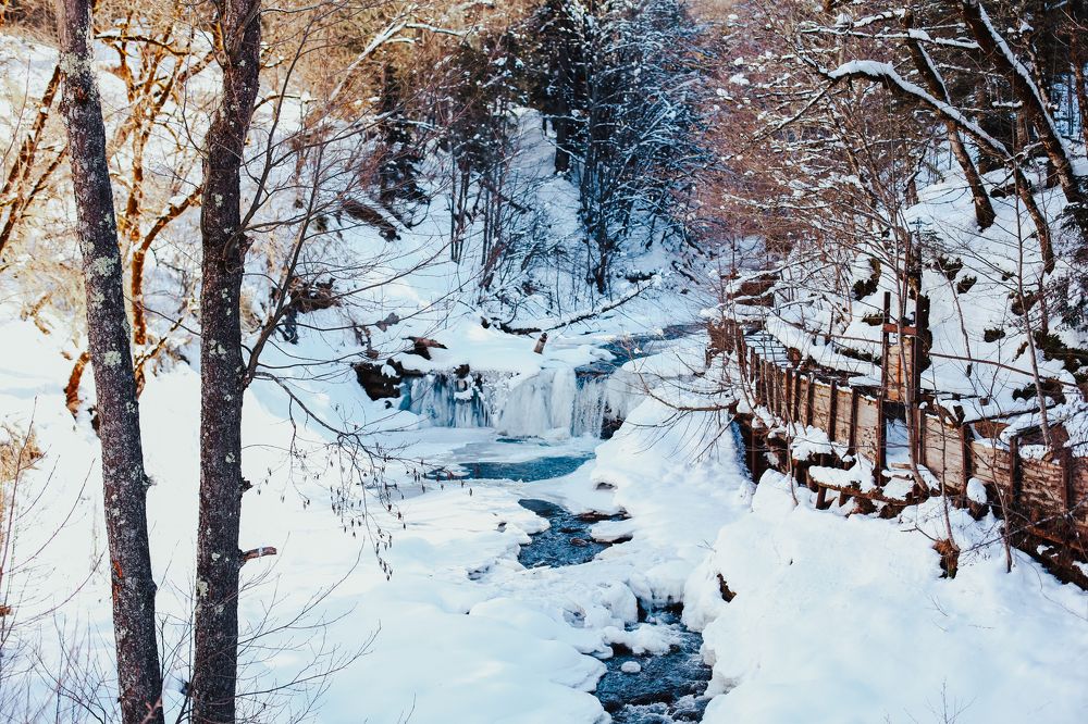 Photograph by Юлия Назарова