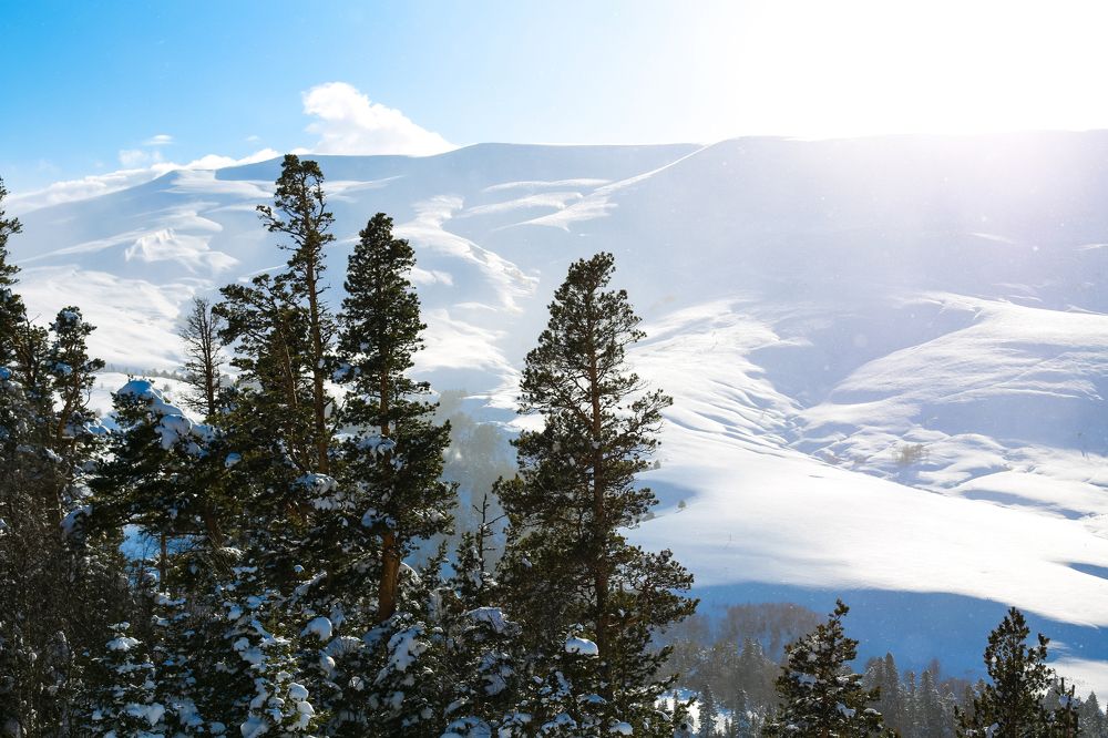 Photograph by Юлия Назарова