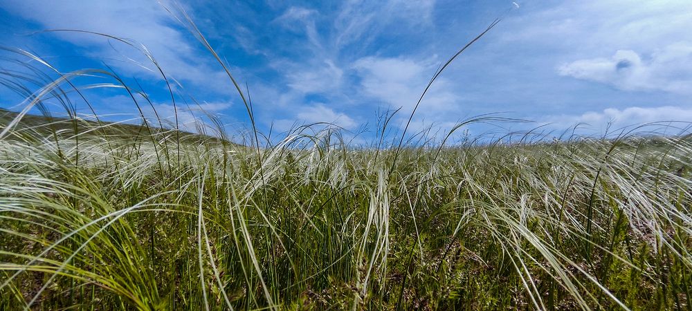 Photograph by Ирина Шибитова