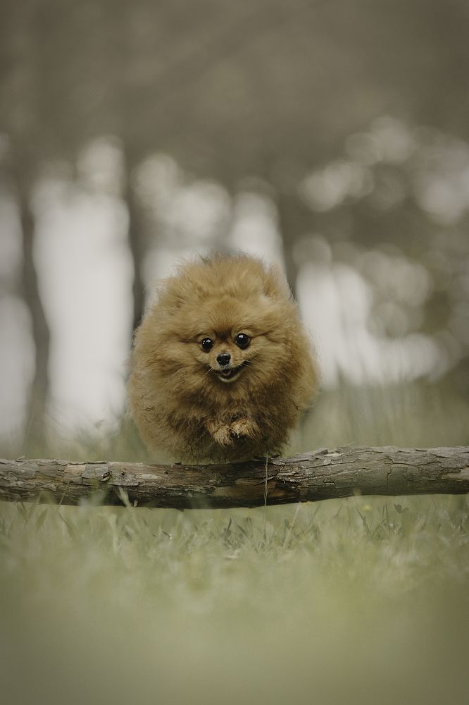 Фотография автора laura garcia