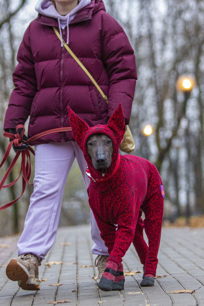 Photograph by Сергей Ловкий