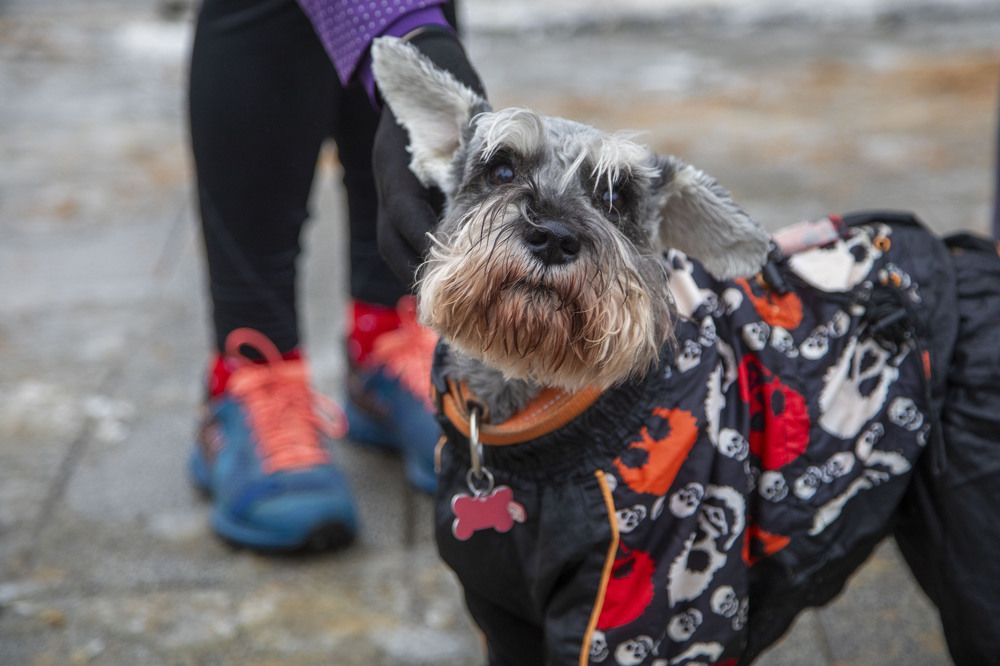 Photograph by Сергей Ловкий