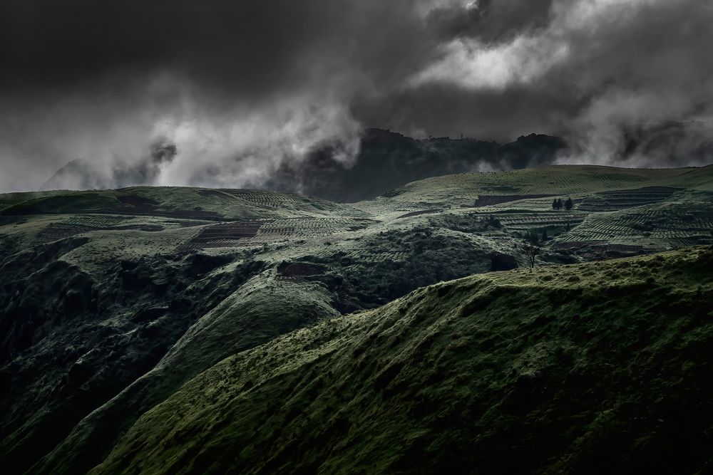 Photograph by Niranjan Baishya