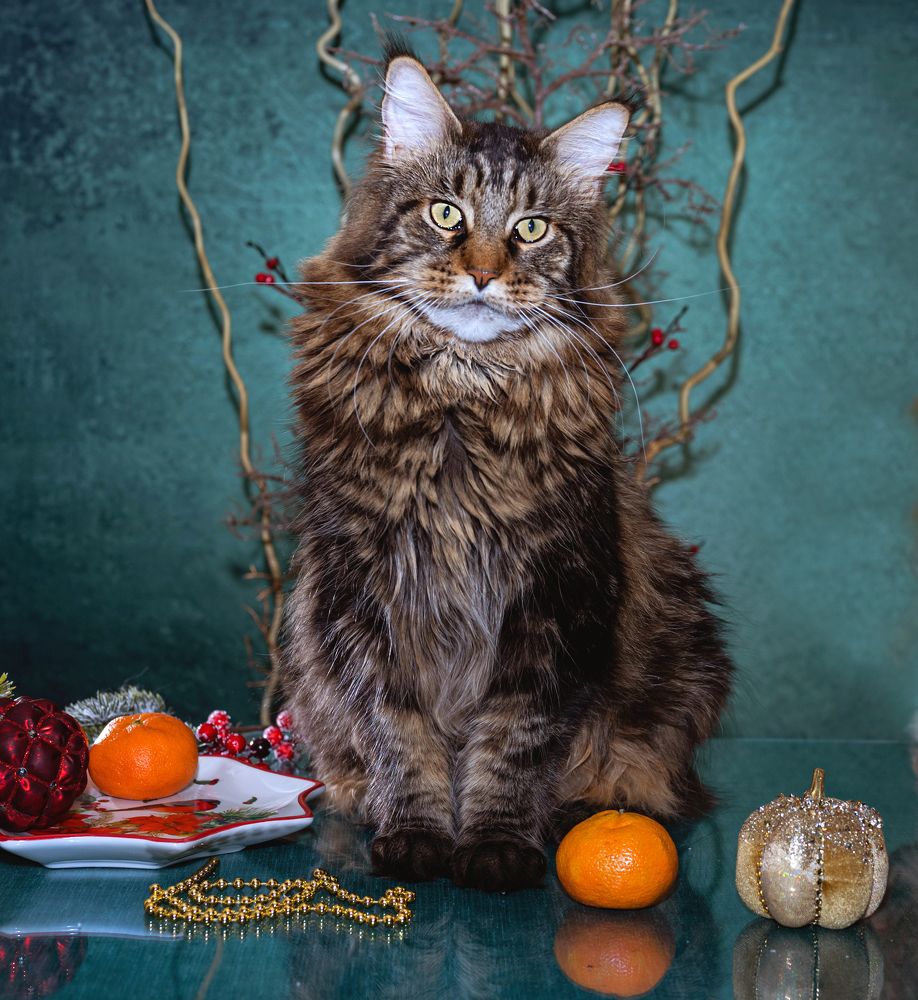 Photograph by NADEZHDA PELYMSKAIA