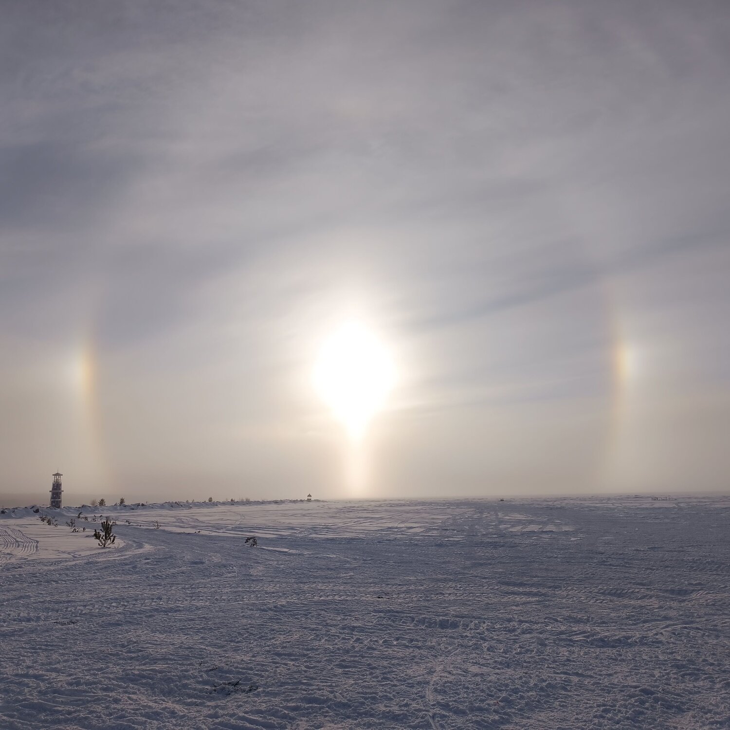 Photo #10457269