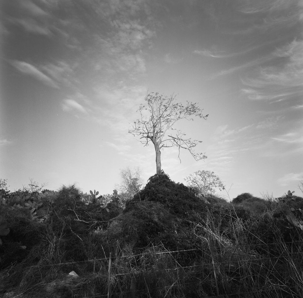 Фотография автора Natasha Tazbash