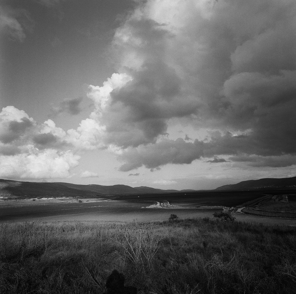 Фотография автора Natasha Tazbash