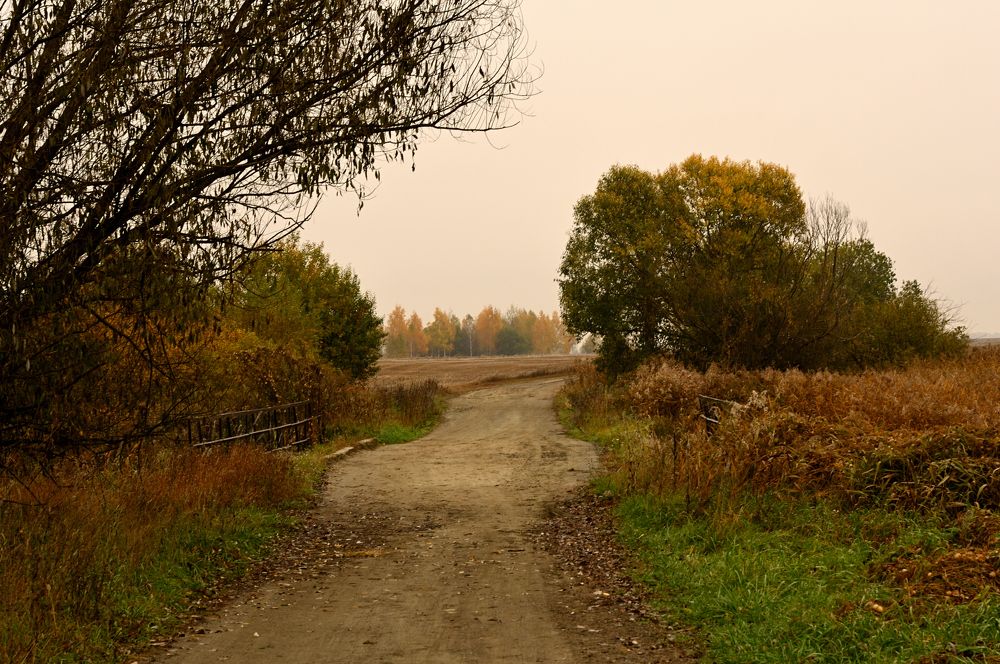 Photograph by Дмитрий Жуков