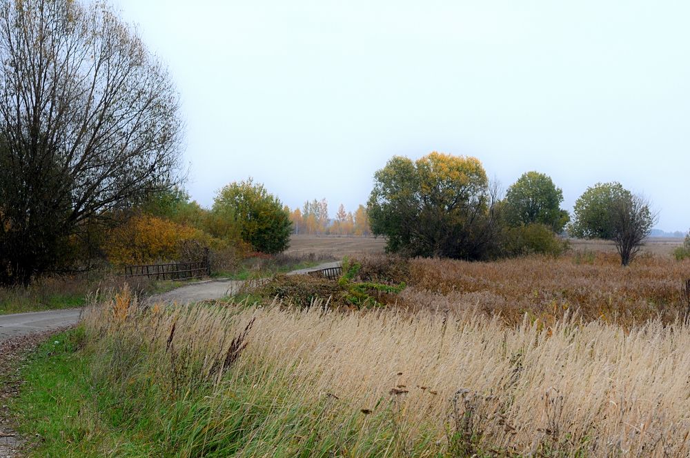 Photograph by Дмитрий Жуков