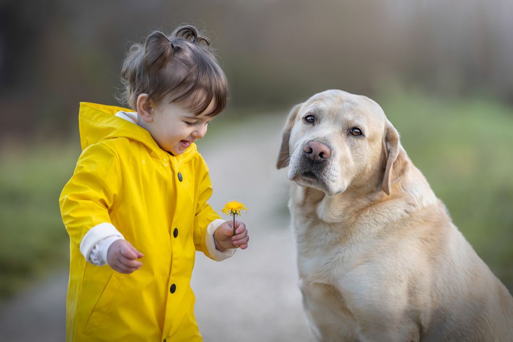 Photograph by Andrea Sereni