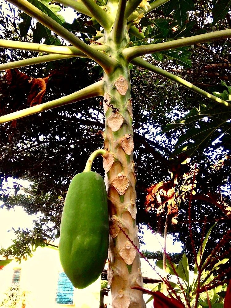 Фотография автора Gala Timaeva