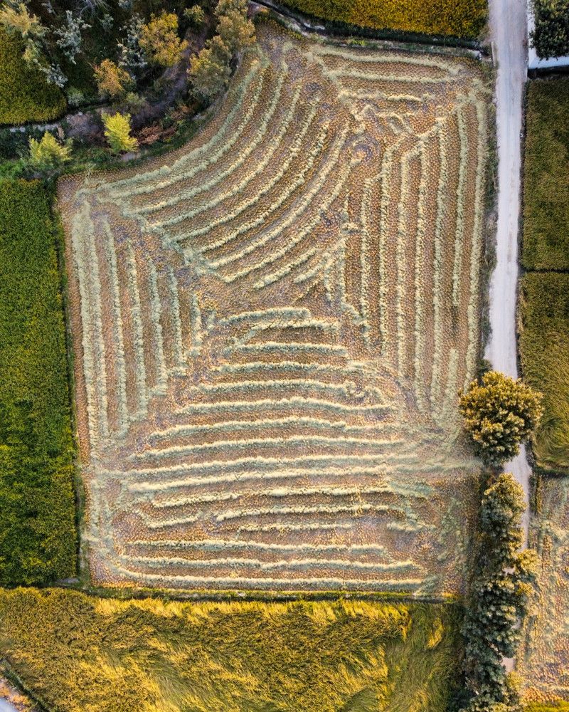 Photograph by Ali Alirezaei