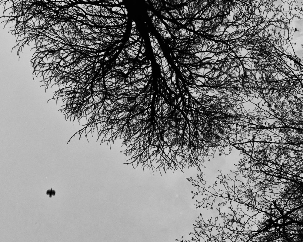 Photograph by Eduard Bukanov