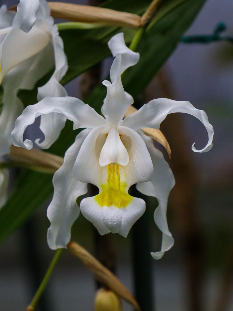 Photograph by Анна Сойтту