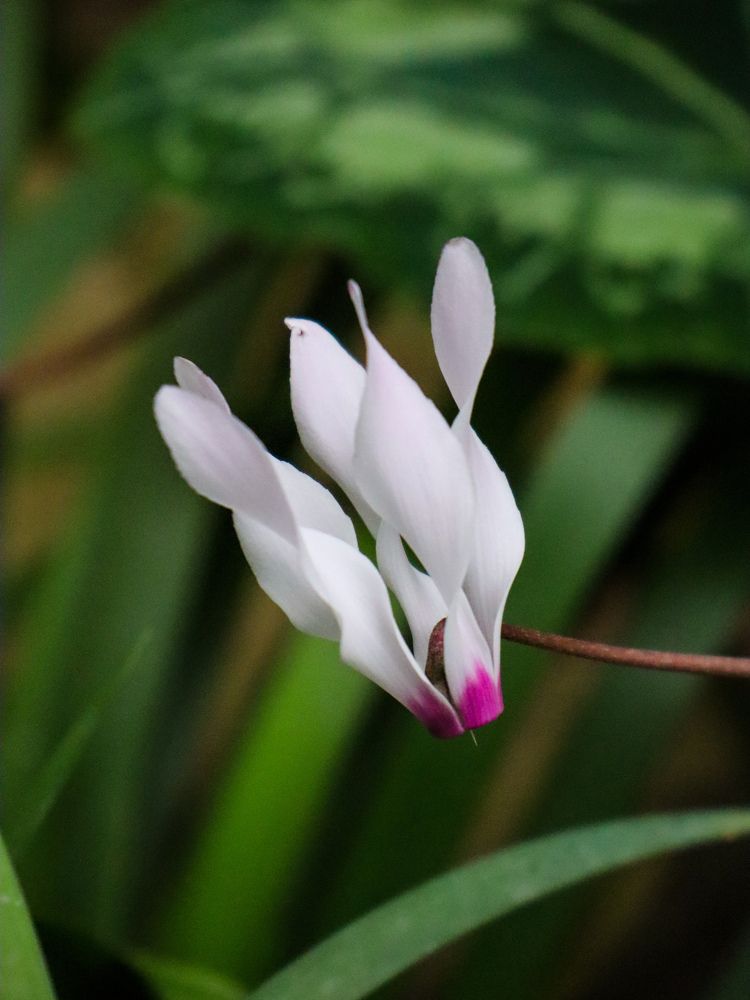 Photograph by Анна Сойтту