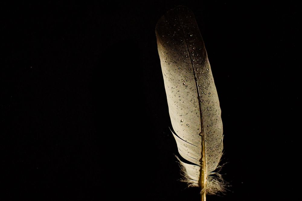 Photograph by Софья