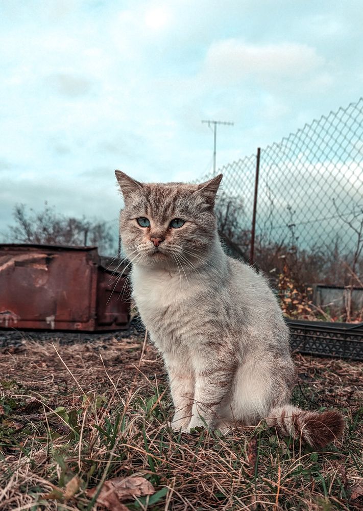 Photograph by Андрей Амбеталь