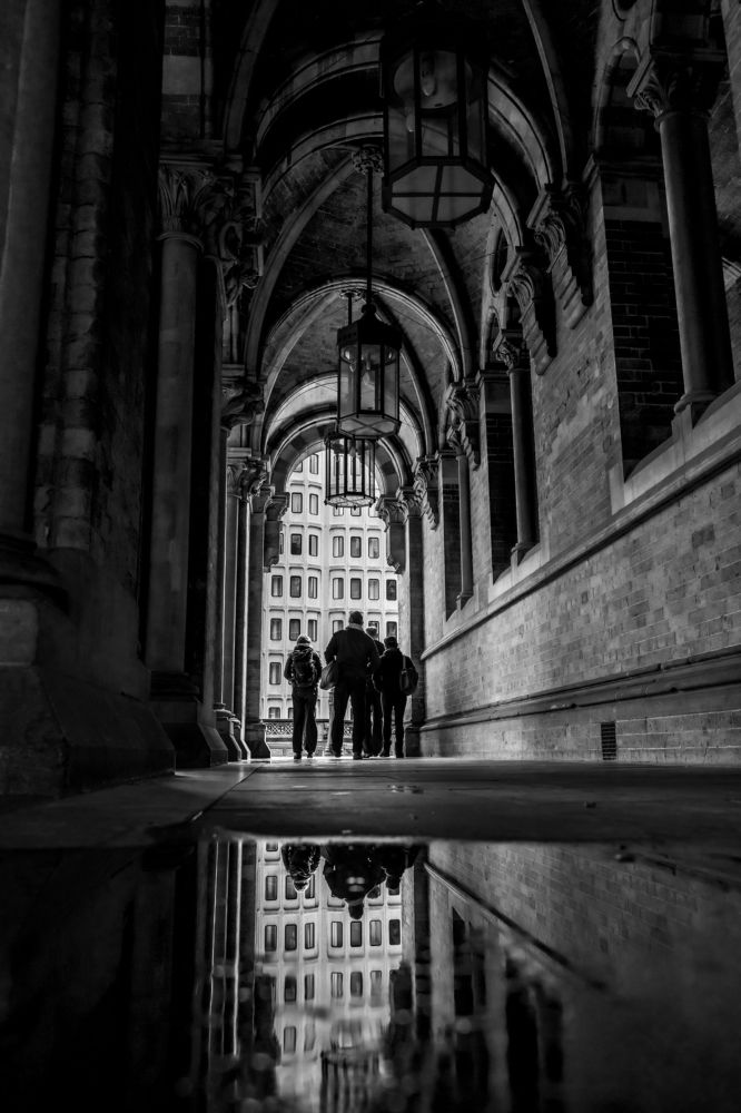 Фотография автора OVIDIU-IOAN TICU