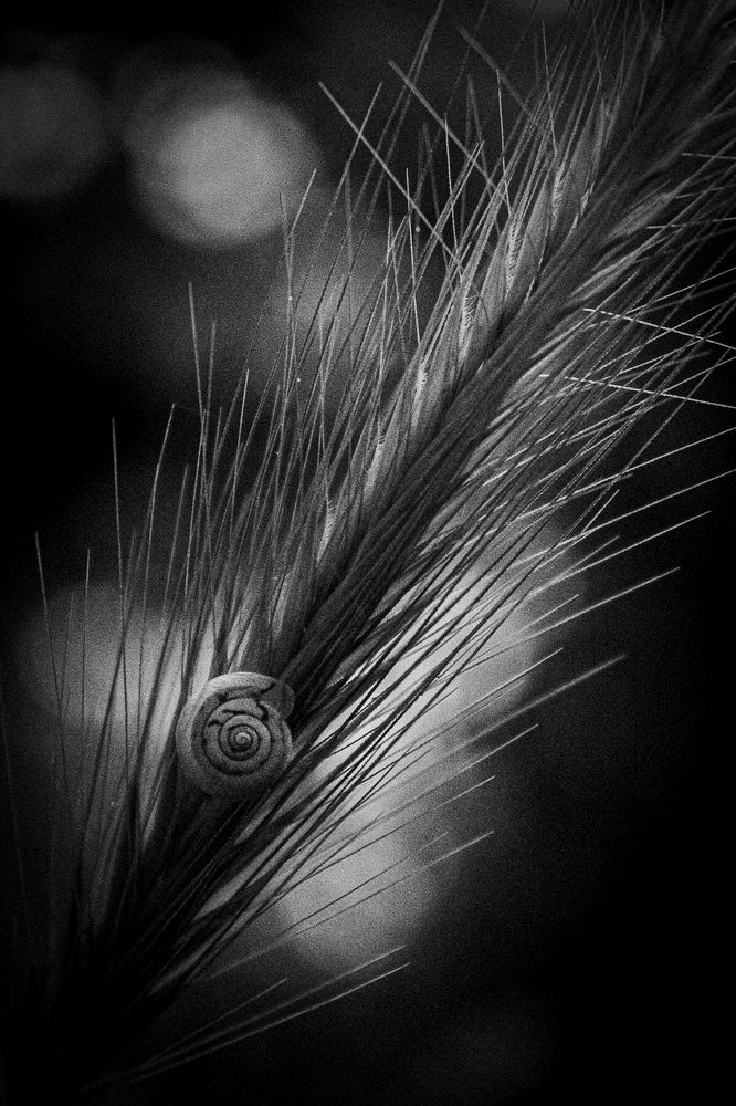 Photograph by Efthymios Tsoumetis