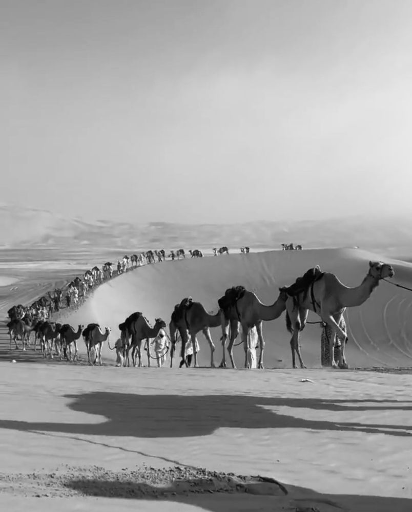 Photograph by Nazgul Mamylkanova