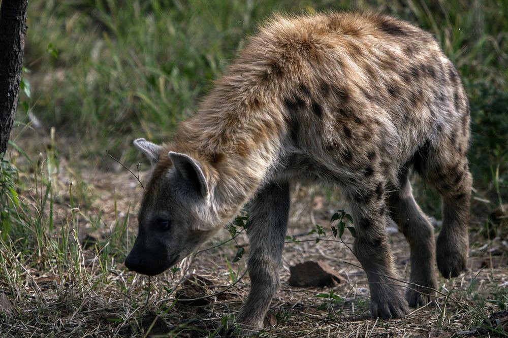 Photograph by Midge Engelbrecht