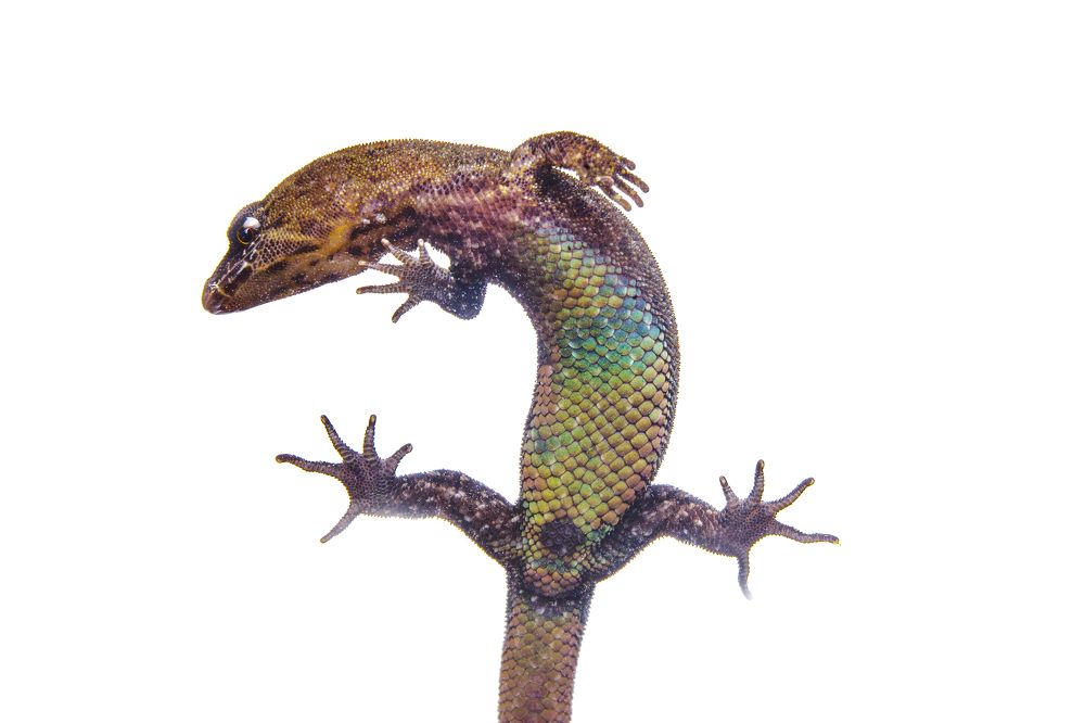 Photograph by Johan Romero Garcia