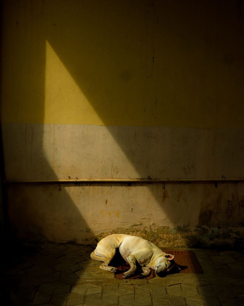 Photograph by Kbroll