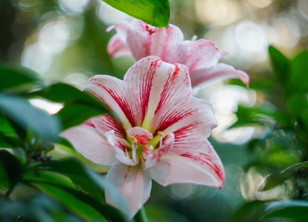 Photograph by Наталья