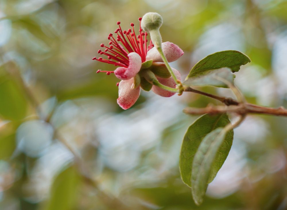 Photograph by Наталья