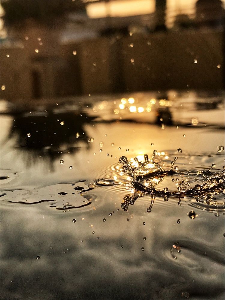 Photograph by Digvijay khandekar