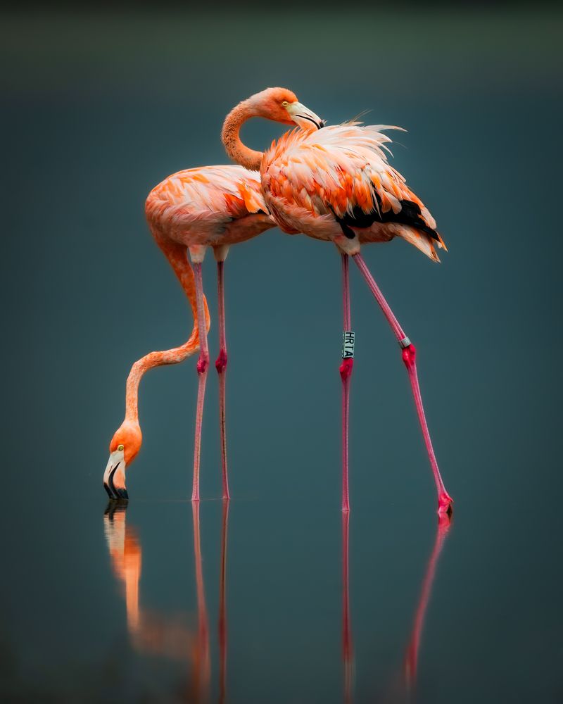 Photograph by Miguel Diaz