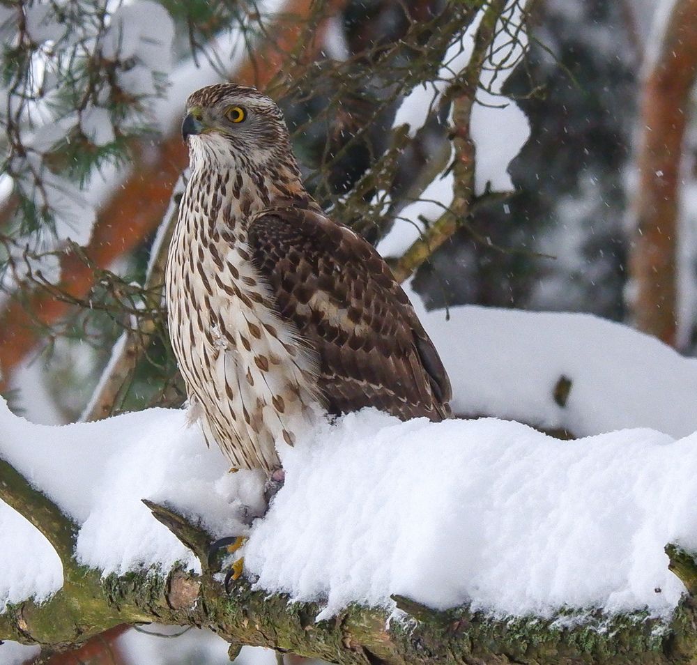 Photograph by Elvijs Kalnins